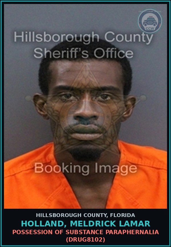 Booking mugshot of HOLLAND, MELDRICK LAMAR in Hillsborough County