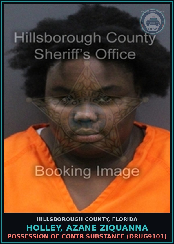 Booking mugshot of HOLLEY, AZANE ZIQUANNA in Hillsborough County