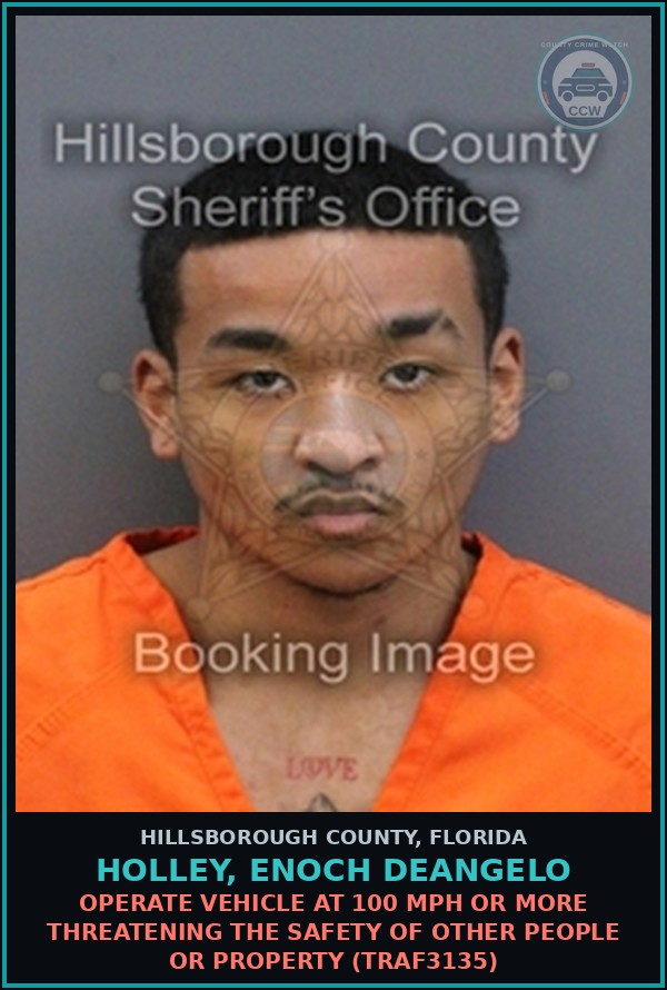 Booking mugshot of HOLLEY, ENOCH DEANGELO in Hillsborough County