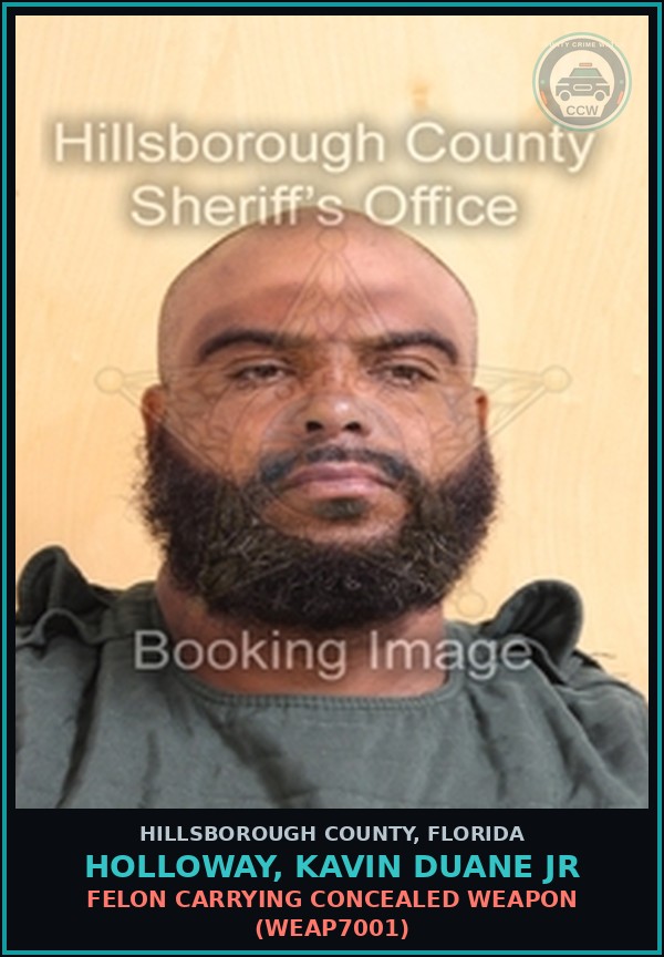 Booking mugshot of HOLLOWAY, KAVIN DUANE JR in Hillsborough County