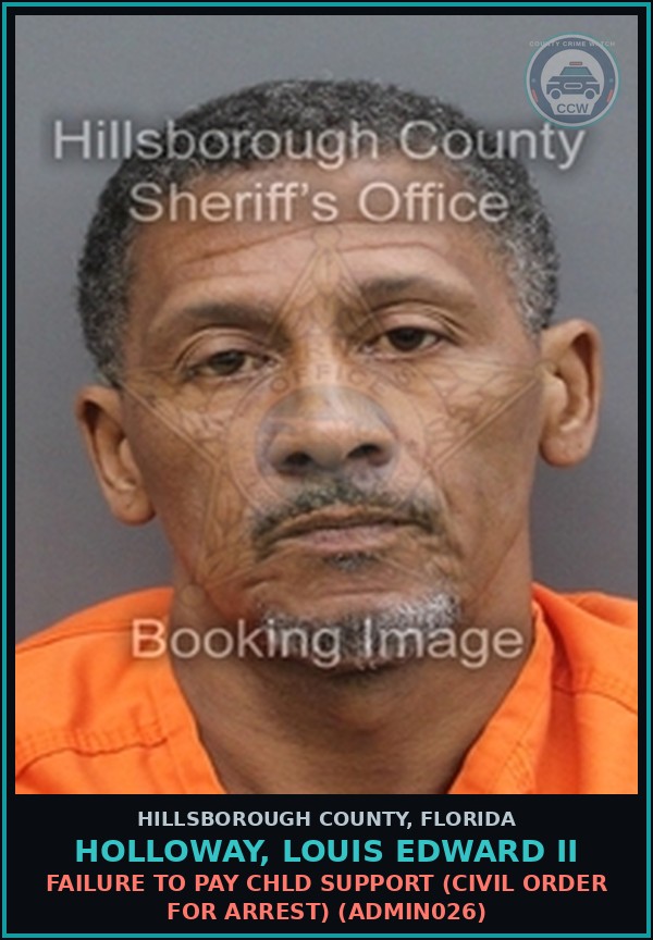 Booking mugshot of HOLLOWAY, LOUIS EDWARD II in Hillsborough County