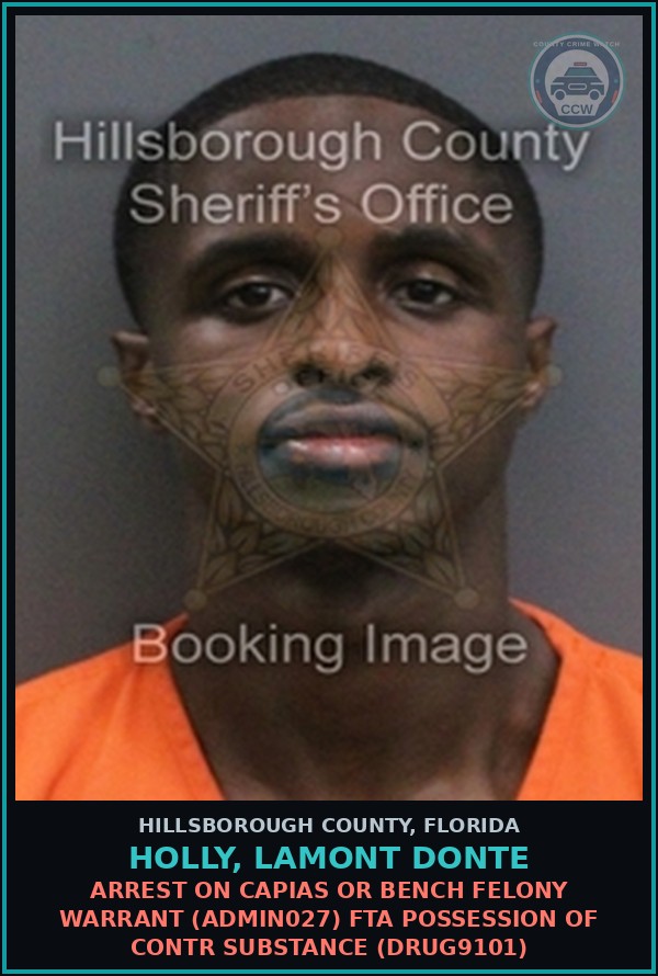 Booking mugshot of HOLLY, LAMONT DONTE in Hillsborough County