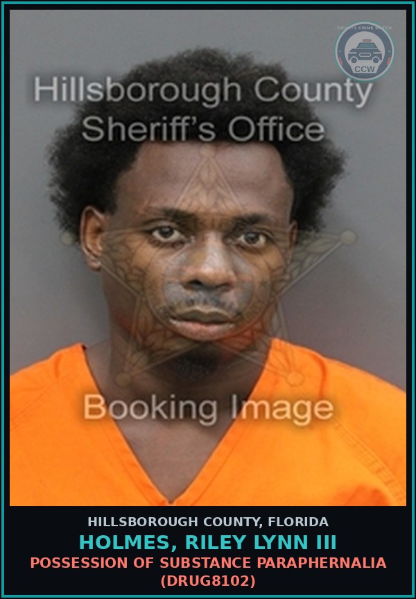 Booking mugshot of HOLMES, RILEY LYNN III in Hillsborough County