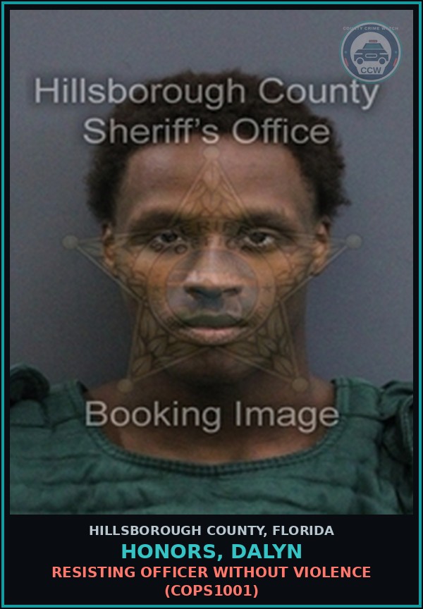 Booking mugshot of HONORS, DALYN in Hillsborough County