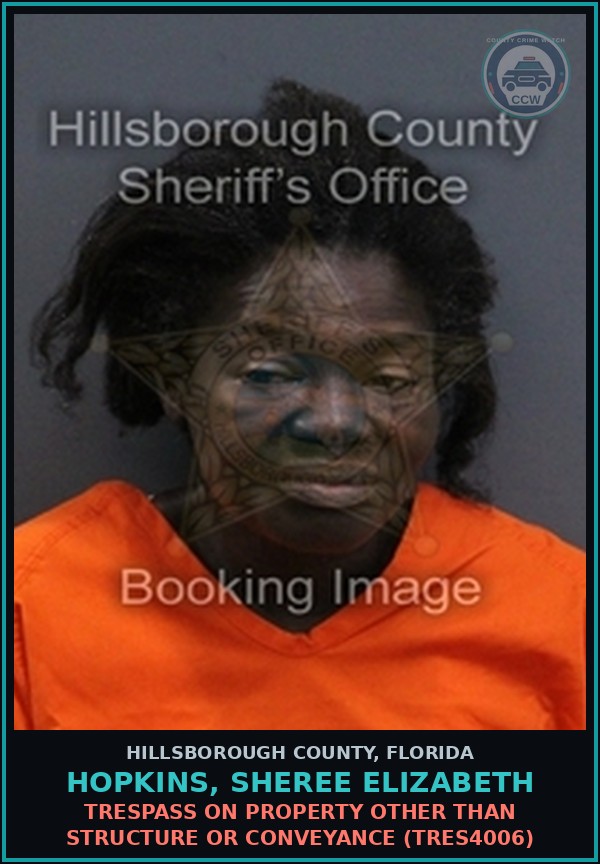 Booking mugshot of HOPKINS, SHEREE ELIZABETH in Hillsborough County