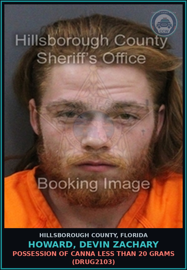 Booking mugshot of HOWARD, DEVIN ZACHARY in Hillsborough County