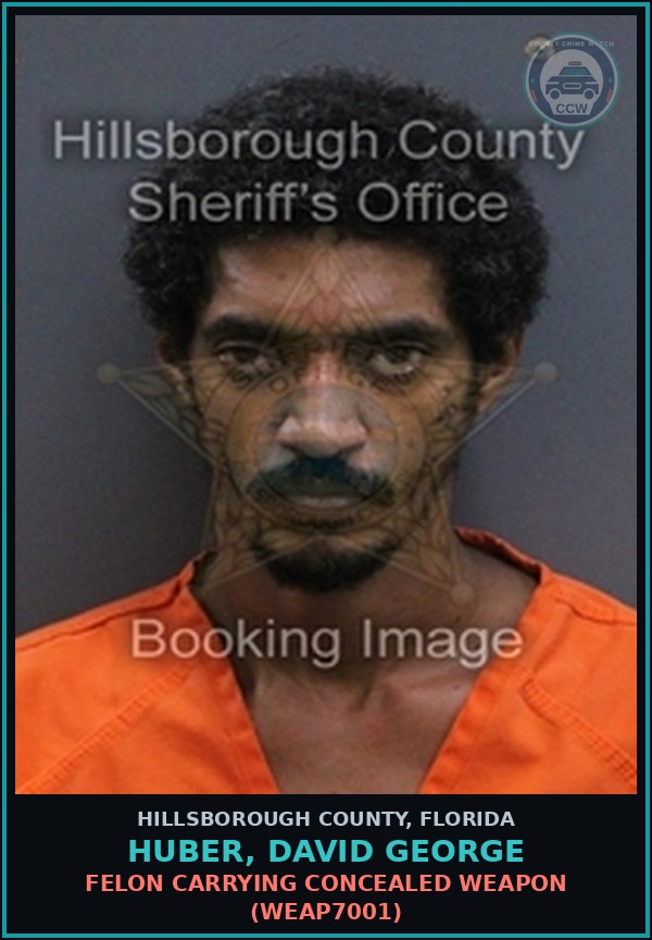 Booking mugshot of HUBER, DAVID GEORGE in Hillsborough County