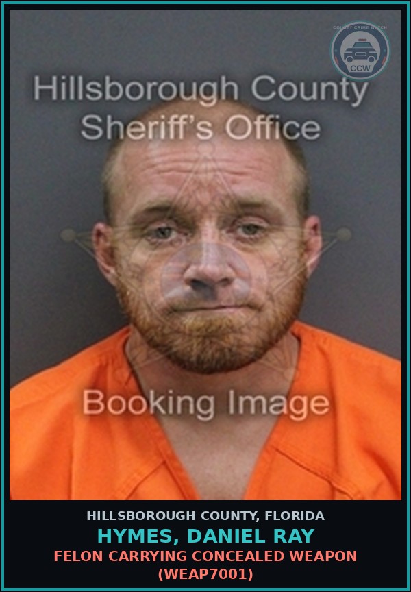 Booking mugshot of HYMES, DANIEL RAY in Hillsborough County