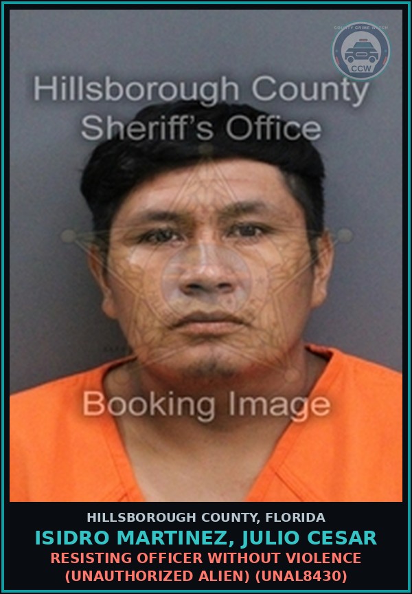 Booking mugshot of ISIDRO MARTINEZ, JULIO CESAR in Hillsborough County