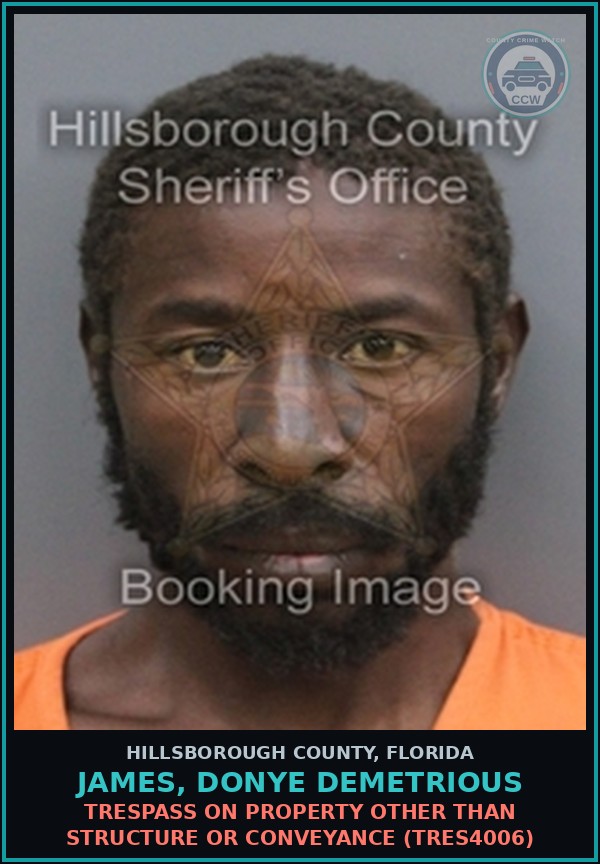 Booking mugshot of JAMES, DONYE DEMETRIOUS in Hillsborough County