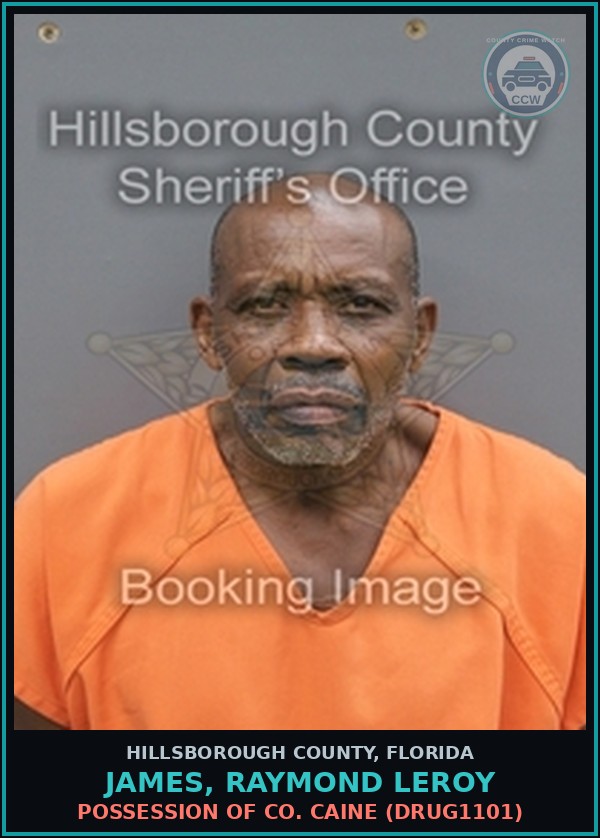 Booking mugshot of JAMES, RAYMOND LEROY in Hillsborough County