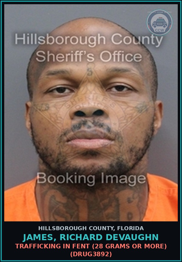 Booking mugshot of JAMES, RICHARD DEVAUGHN in Hillsborough County