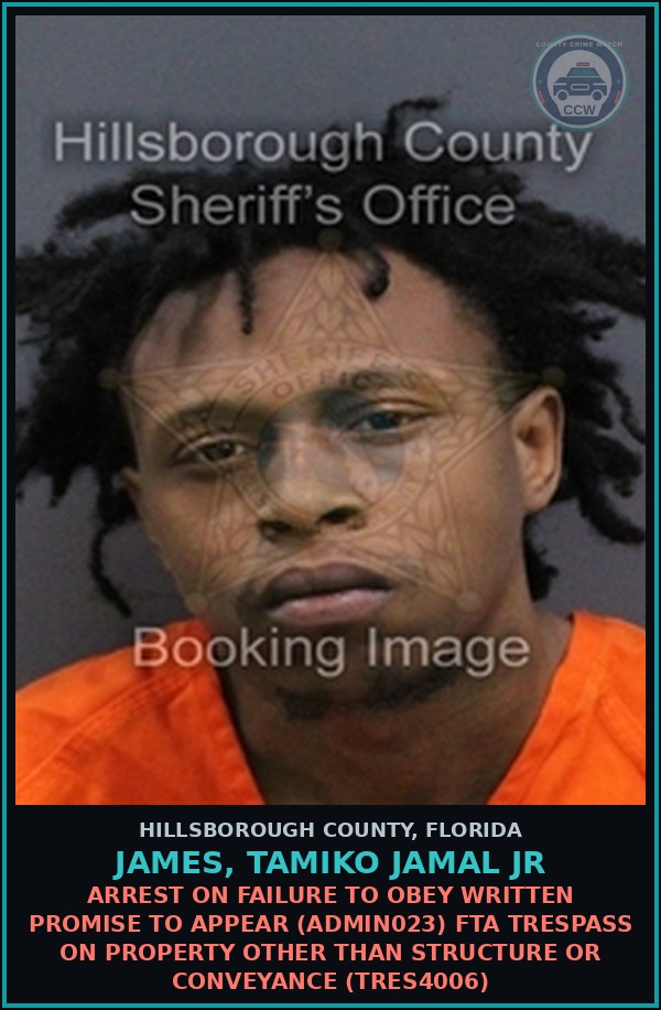 Booking mugshot of JAMES, TAMIKO JAMAL JR in Hillsborough County