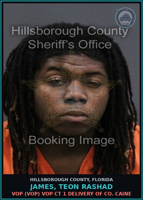 Booking mugshot of JAMES, TEON RASHAD in Hillsborough County