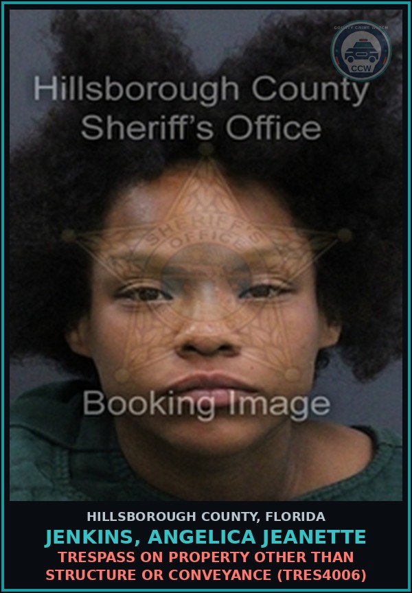Booking mugshot of JENKINS, ANGELICA JEANETTE in Hillsborough County