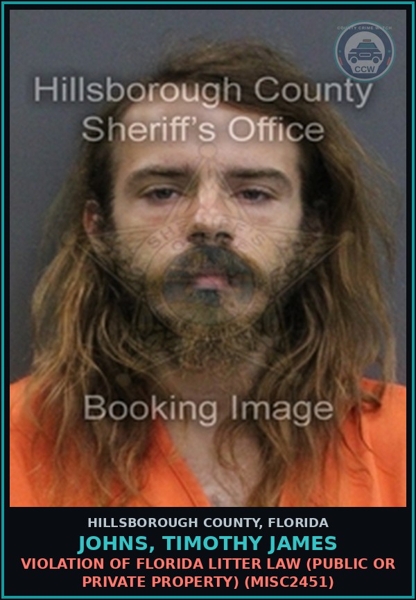 Booking mugshot of JOHNS, TIMOTHY JAMES in Hillsborough County