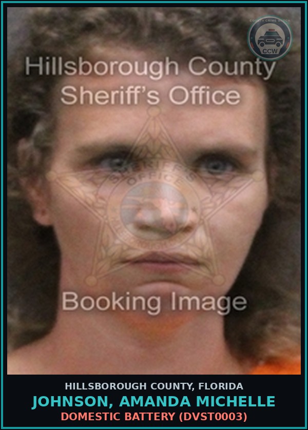 Booking mugshot of JOHNSON, AMANDA MICHELLE in Hillsborough County