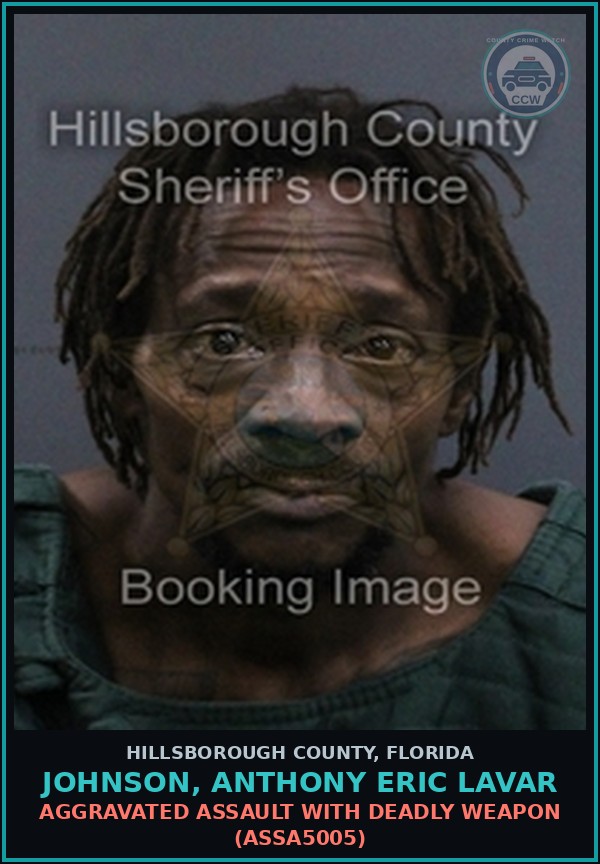 Booking mugshot of JOHNSON, ANTHONY ERIC LAVAR in Hillsborough County