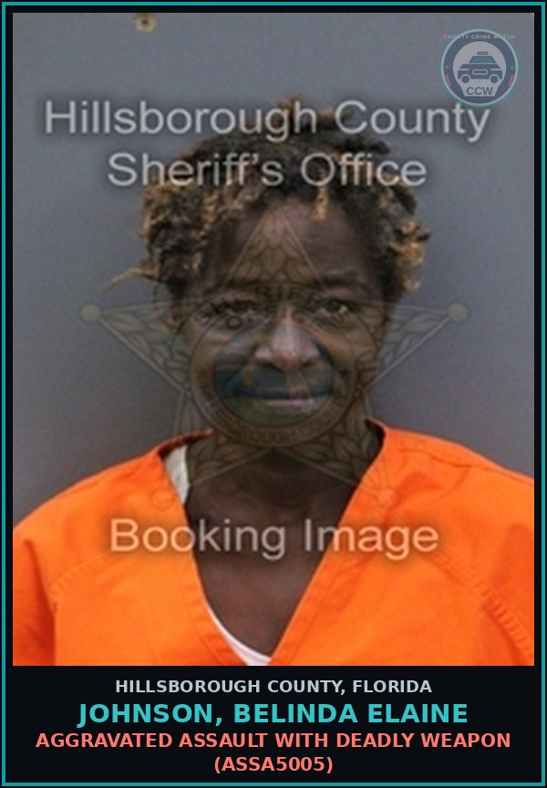Booking mugshot of JOHNSON, BELINDA ELAINE in Hillsborough County