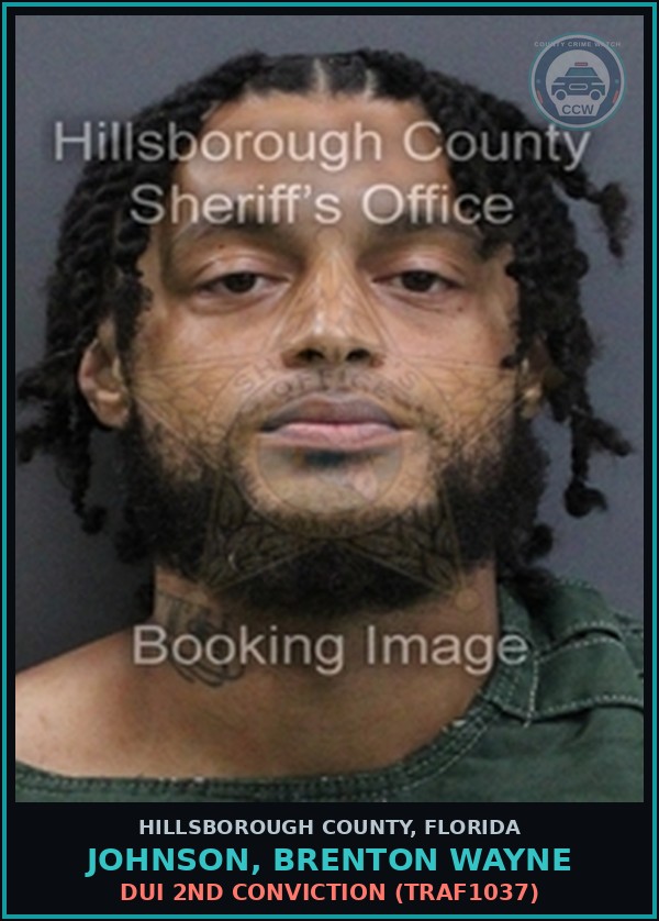 Booking mugshot of JOHNSON, BRENTON WAYNE in Hillsborough County