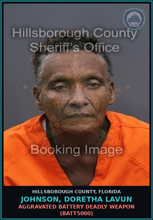 Booking mugshot of JOHNSON, DORETHA LAVUN in Hillsborough County
