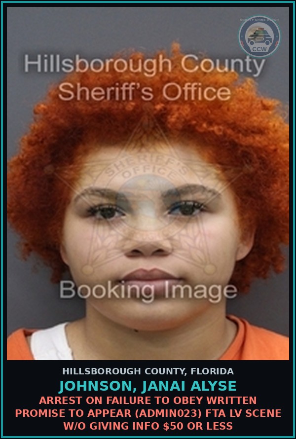 Booking mugshot of JOHNSON, JANAI ALYSE in Hillsborough County
