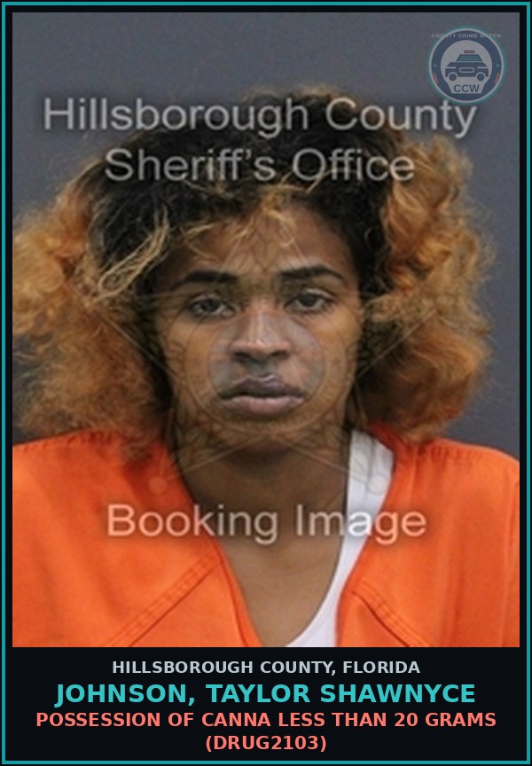 Booking mugshot of JOHNSON, TAYLOR SHAWNYCE in Hillsborough County
