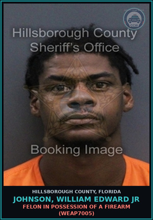 Booking mugshot of JOHNSON, WILLIAM EDWARD JR in Hillsborough County