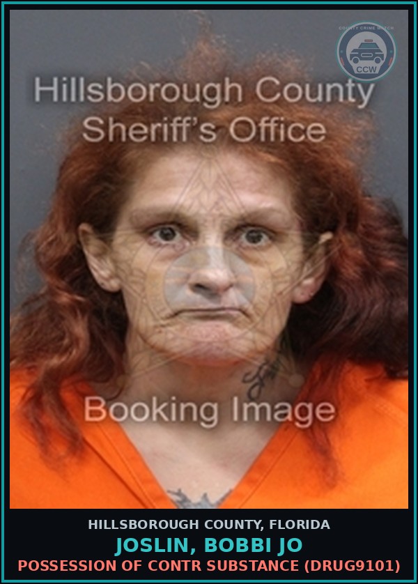Booking mugshot of JOSLIN, BOBBI JO in Hillsborough County