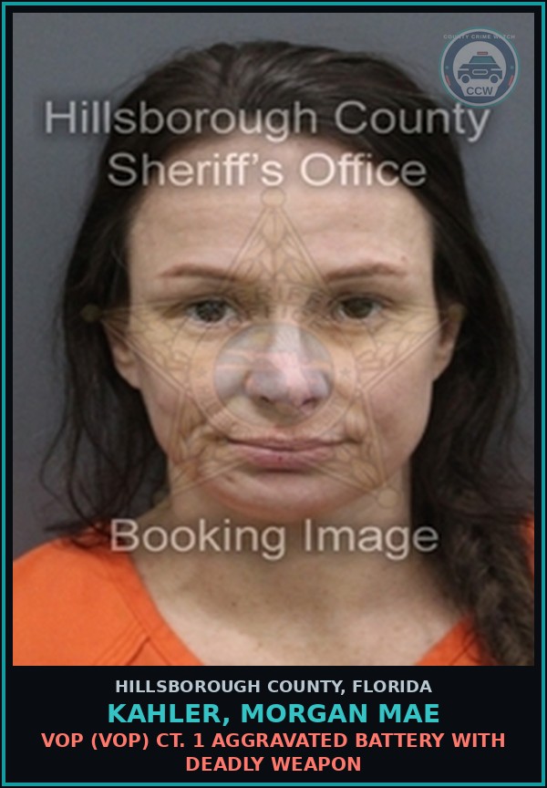 Booking mugshot of KAHLER, MORGAN MAE in Hillsborough County