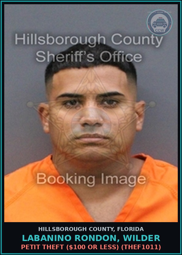 Booking mugshot of LABANINO RONDON, WILDER in Hillsborough County
