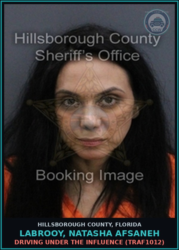 Booking mugshot of LABROOY, NATASHA AFSANEH in Hillsborough County