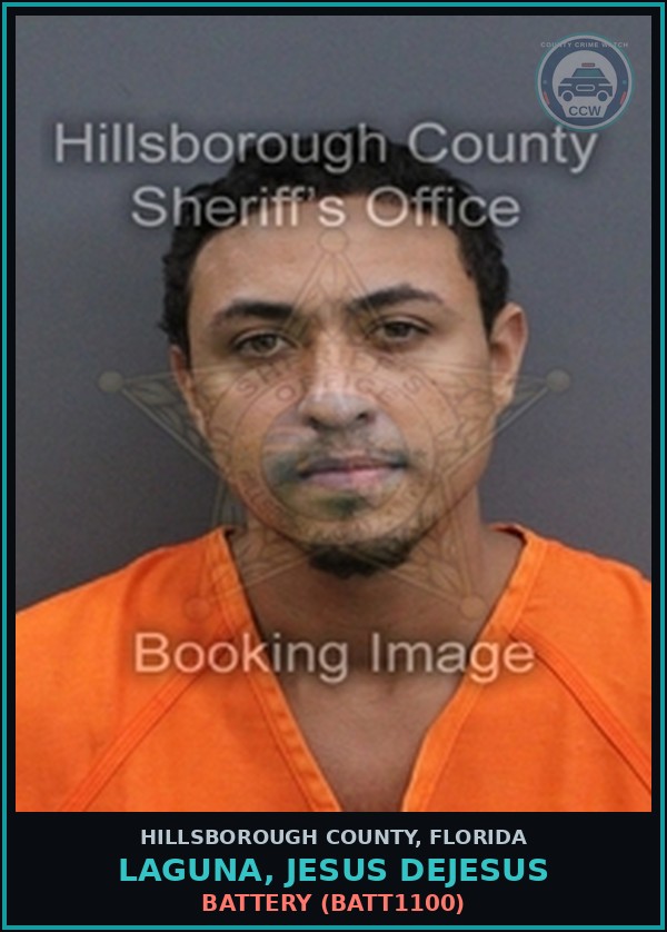 Booking mugshot of LAGUNA, JESUS DEJESUS in Hillsborough County