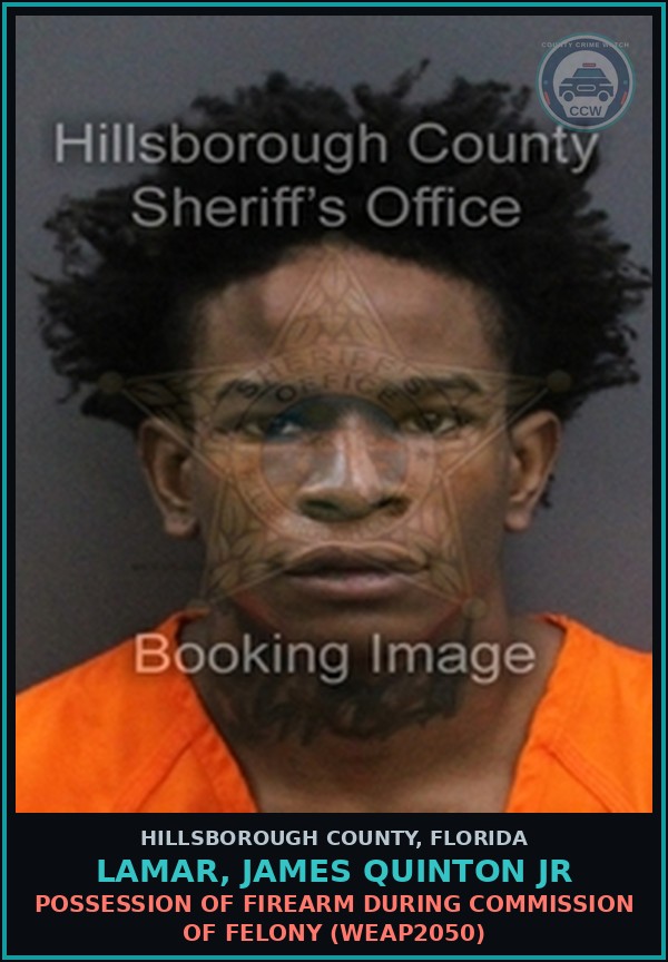 Booking mugshot of LAMAR, JAMES QUINTON JR in Hillsborough County