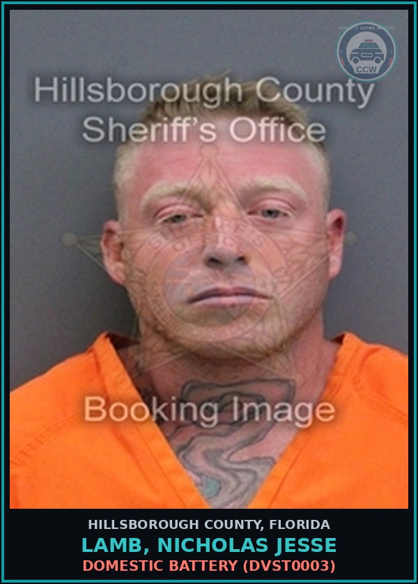 Booking mugshot of LAMB, NICHOLAS JESSE in Hillsborough County