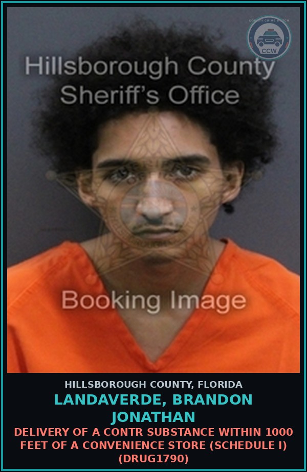 Booking mugshot of LANDAVERDE, BRANDON JONATHAN in Hillsborough County