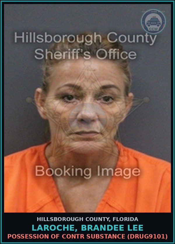 Booking mugshot of LAROCHE, BRANDEE LEE in Hillsborough County