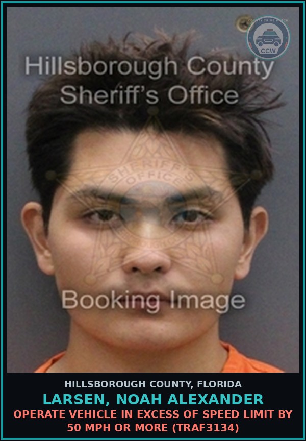 Booking mugshot of LARSEN, NOAH ALEXANDER in Hillsborough County