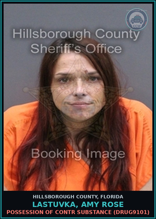 Booking mugshot of LASTUVKA, AMY ROSE in Hillsborough County