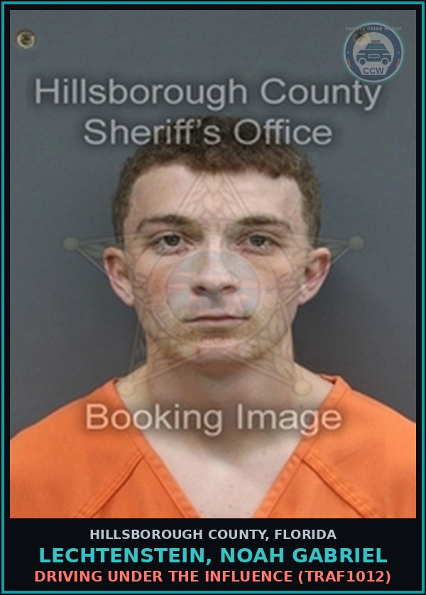 Booking mugshot of LECHTENSTEIN, NOAH GABRIEL in Hillsborough County