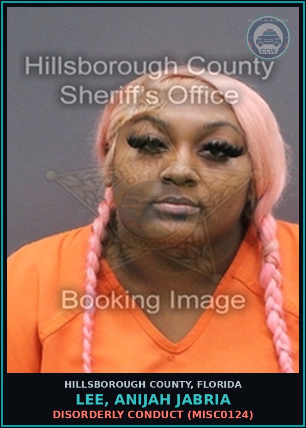 Booking mugshot of LEE, ANIJAH JABRIA in Hillsborough County