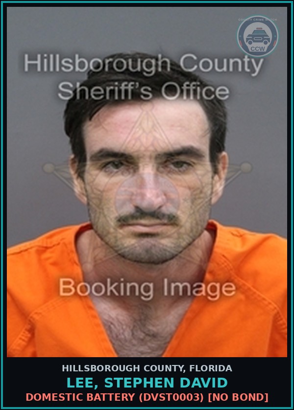 Booking mugshot of LEE, STEPHEN DAVID in Hillsborough County