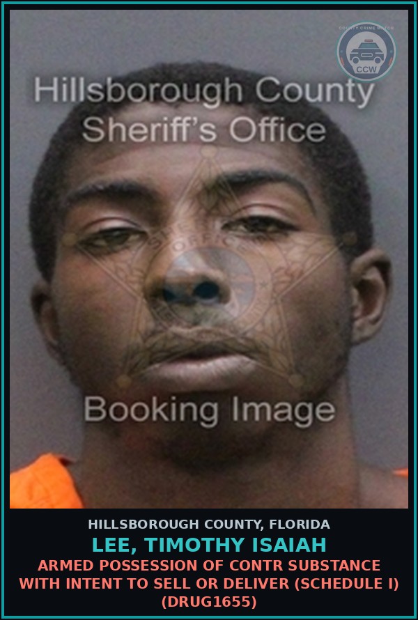 Booking mugshot of LEE, TIMOTHY ISAIAH in Hillsborough County