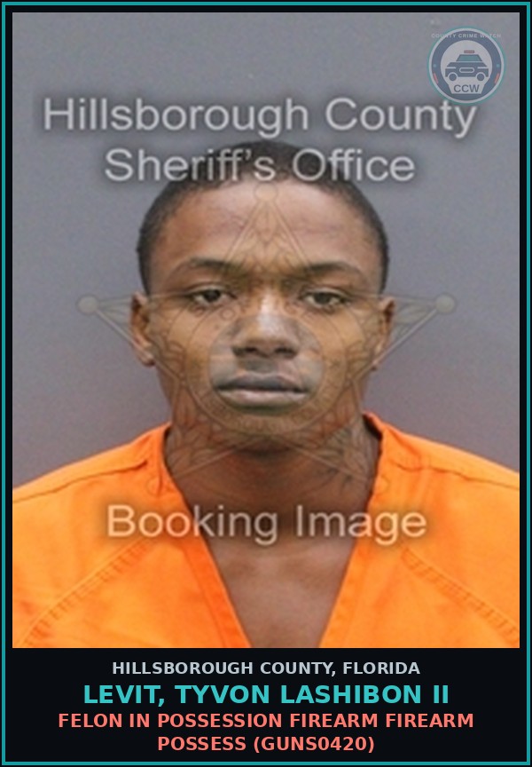 Booking mugshot of LEVIT, TYVON LASHIBON II in Hillsborough County