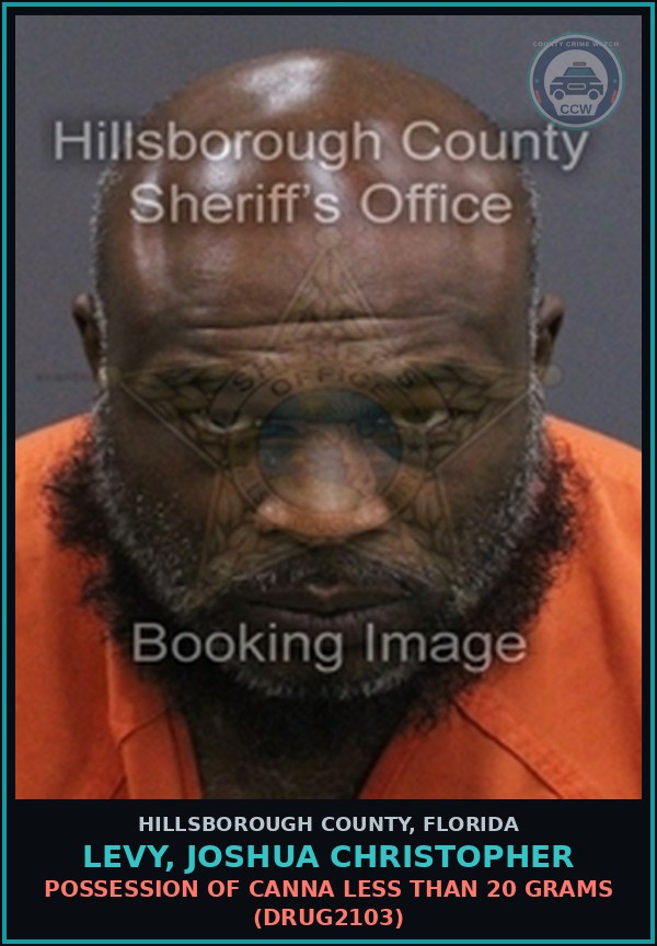 Booking mugshot of LEVY, JOSHUA CHRISTOPHER in Hillsborough County