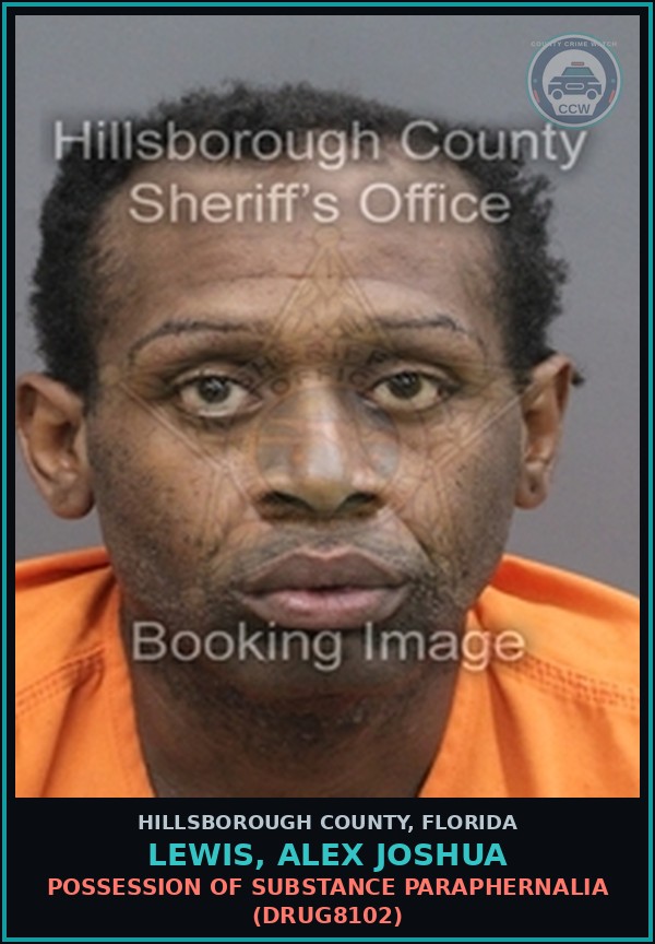 Booking mugshot of LEWIS, ALEX JOSHUA in Hillsborough County