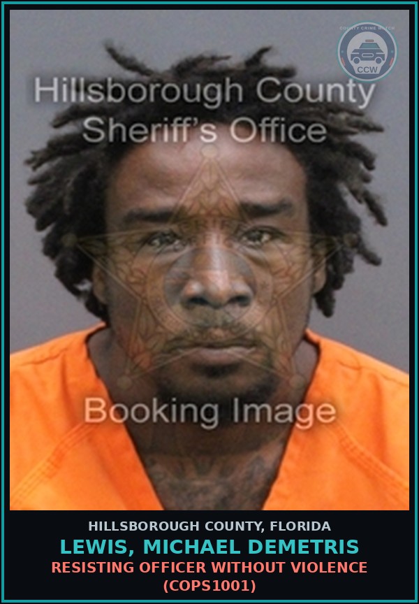 Booking mugshot of LEWIS, MICHAEL DEMETRIS in Hillsborough County