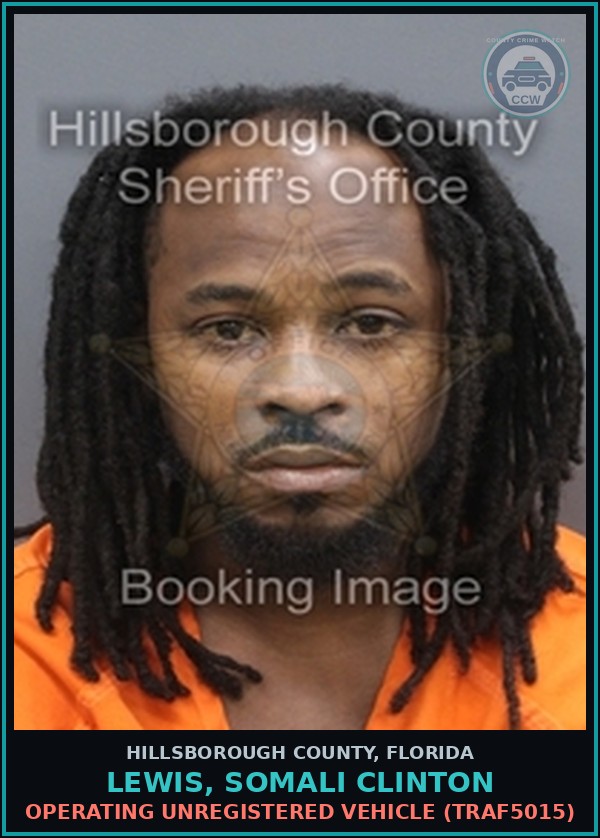 Booking mugshot of LEWIS, SOMALI CLINTON in Hillsborough County