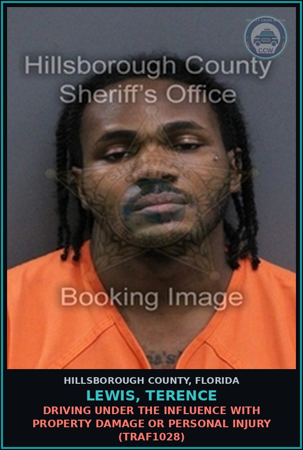 Booking mugshot of LEWIS, TERENCE in Hillsborough County