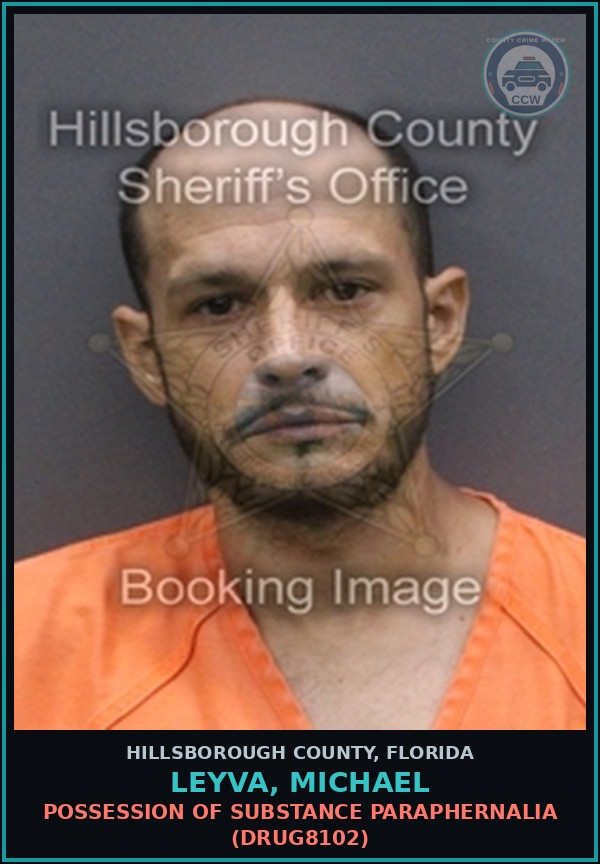 Booking mugshot of LEYVA, MICHAEL in Hillsborough County